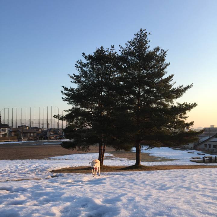 E7e76880 89a5 459a 848a 6683633387e4