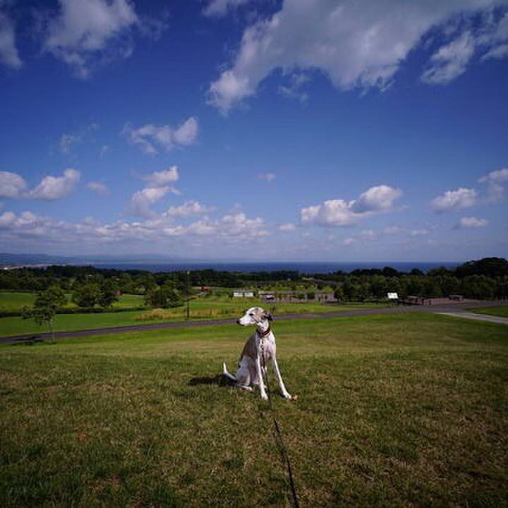 E7e78973 b5a2 4a2e aee5 d5610eb9a0d2