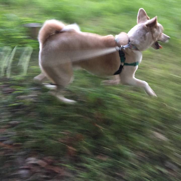 E7e877fd b53b 4b5e 92bd 974ab6948878