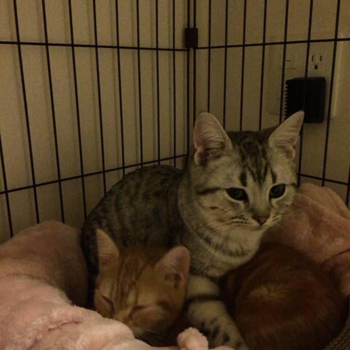 E7e8e3b5 0e30 4925 b7d2 a2e234ad172e