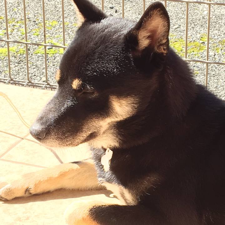 E7e92a84 3f41 499f 8861 c2a2cf90e6ae