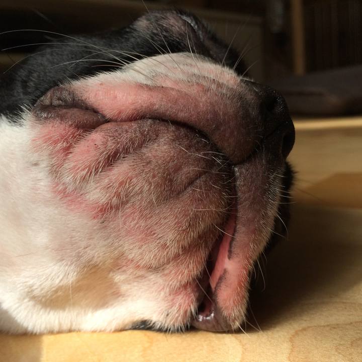 E7e99cf4 acff 4c71 bb04 dc447e79addc