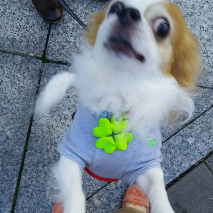 E7ea7286 1ea7 4557 8642 5aa4a3013021