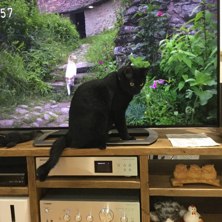 E7eaa146 5287 4e2e 85a2 9f876cba30c2