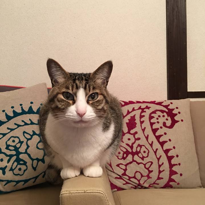 E7eb03ff 9230 42dd 8386 41b305ed5d89