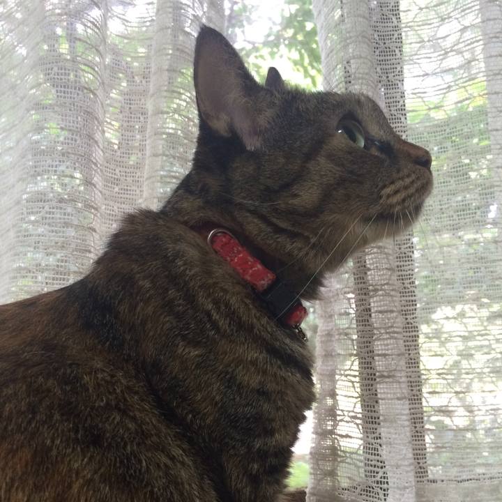 E7eb5666 589d 4c86 a952 755168430dee