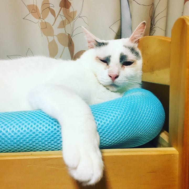 E7ebdb63 714d 435f 9b8a 2103f760c52d