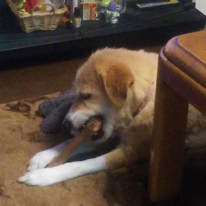 E7ed6ff8 7a9c 4c69 92d6 bbf8fc657d70