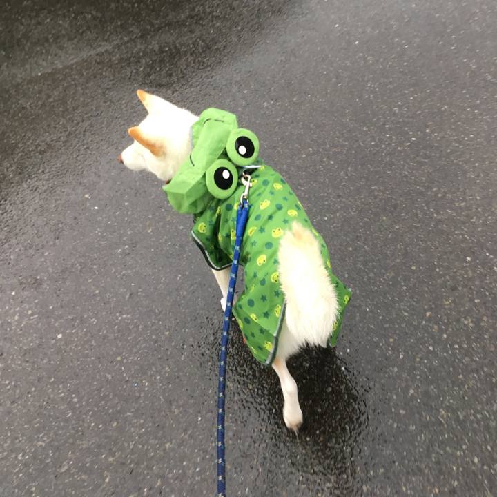 E7ede77c d96f 4442 a2c5 172e88e13115