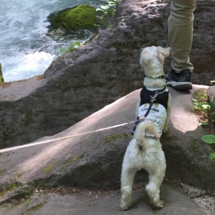 E7ee7632 45fe 4c83 baaf 0a63faeaa0aa