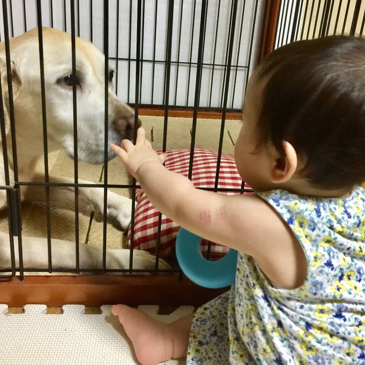 E7ee8439 ccc5 4115 a391 dbdb4b3c66eb