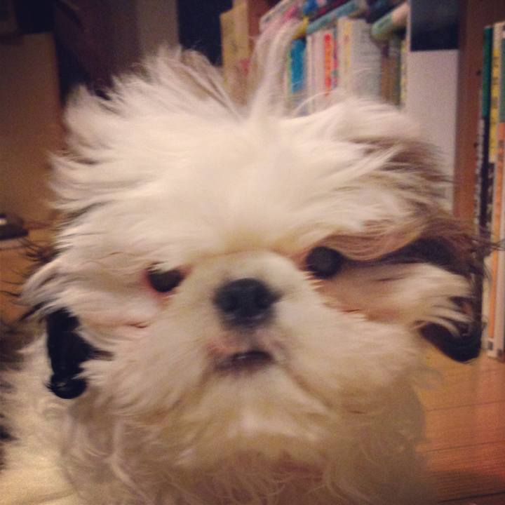 E7eea5ca c222 449b 969d 01f8d57f795f