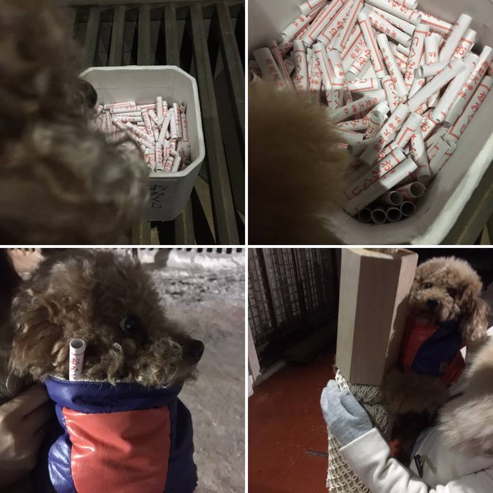 E7ef0498 37e0 4ea5 a3c1 aeeb59a0dd48