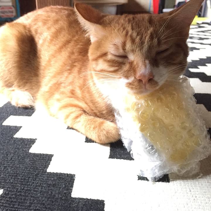 E7ef9c9e b183 4908 a765 fd358254fff9