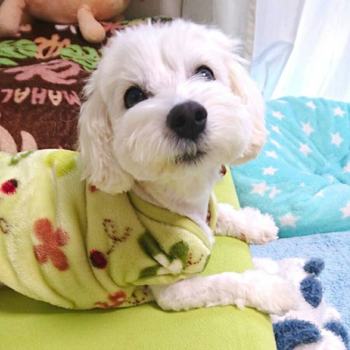 E7f018b8 347b 4e50 a068 5bab5115cc77