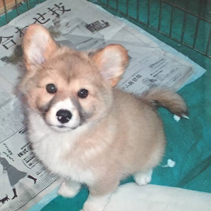 E7f067f9 e4fe 48c7 b95e b1c255bc6cdd