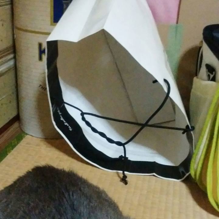 E7f0d221 a4e0 4144 91fa 7b086f0a21f6