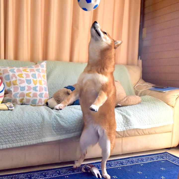 E7f0dfde 134f 4b38 8512 8fb3086796b8