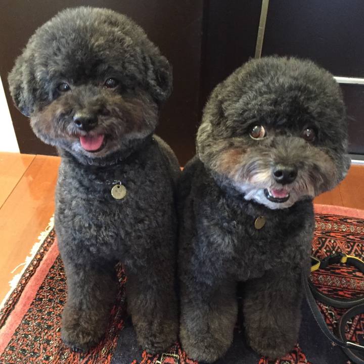 E7f0e214 4016 4f78 807d 66434fe05bf2