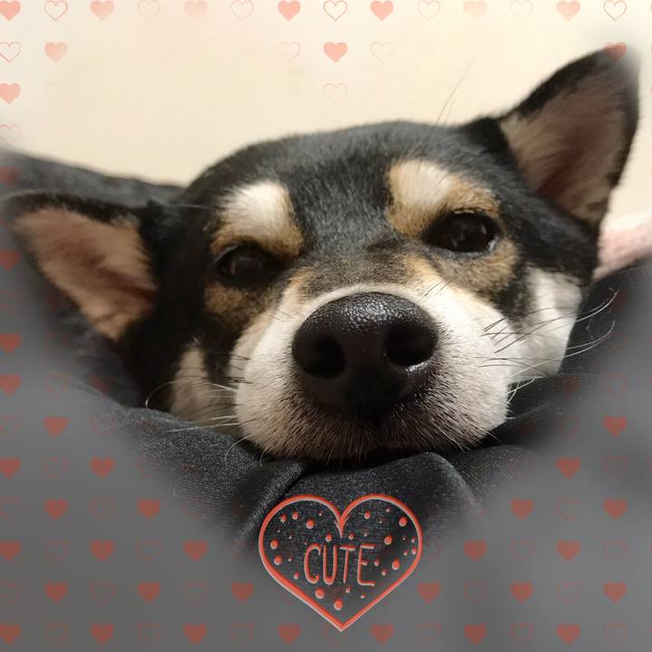 E7f18856 56aa 4385 9cdf 236b9a15aa4c