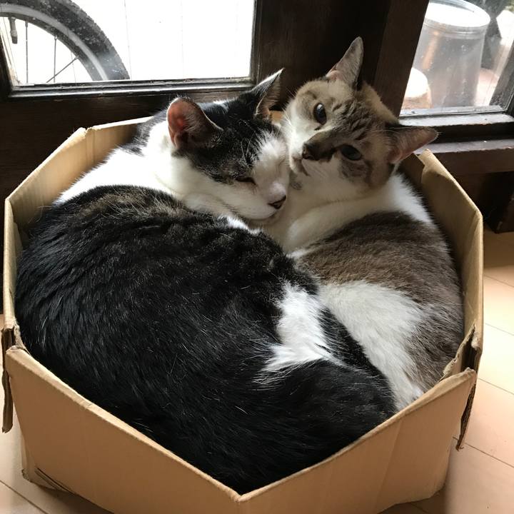 E7f1b8cf e0ce 4909 a9d1 c1e7c12fd9e0