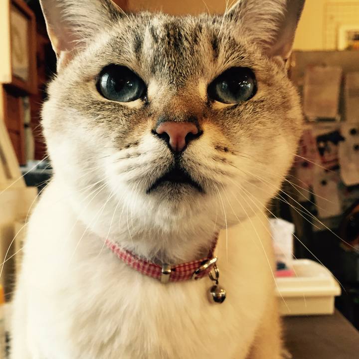 E7f1bfdd 7e1d 426a 96ad cabba8b9c55a