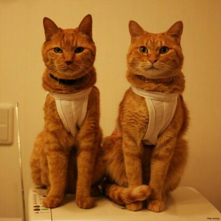 E7f1e60f 38e2 4e88 9551 c70186abe659