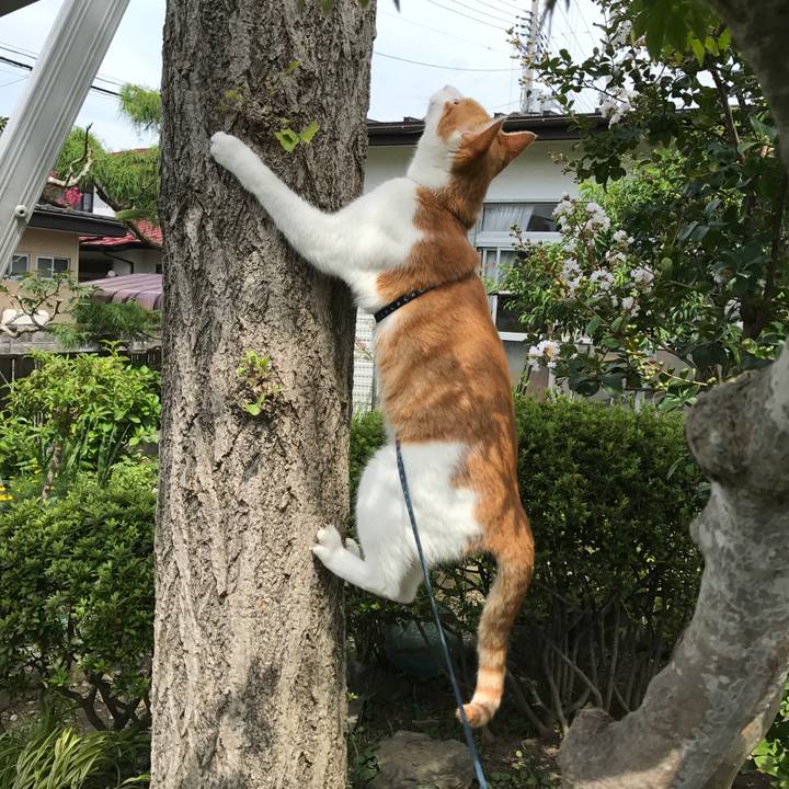 E7f2040e df24 480b ac64 e6885aa5fef8