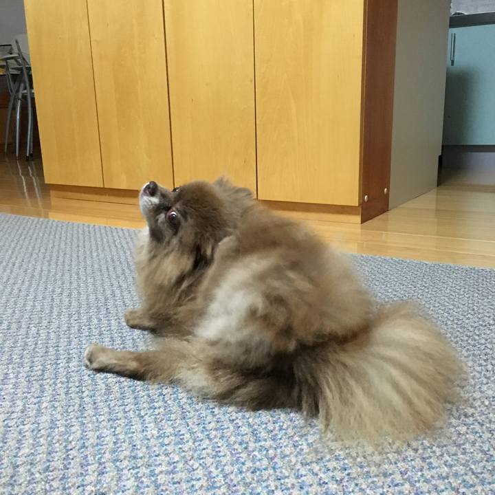 E7f2a9ee 3338 40b4 a9cd 6ff99be01894