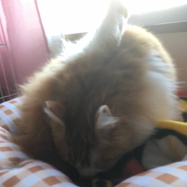 E7f3394b 4459 420d 91fd 197f0bbdca3e