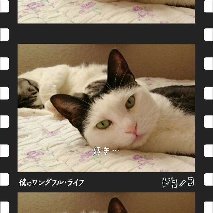 E7f369dd 416e 4dbd bfba 7d67bd160a6d