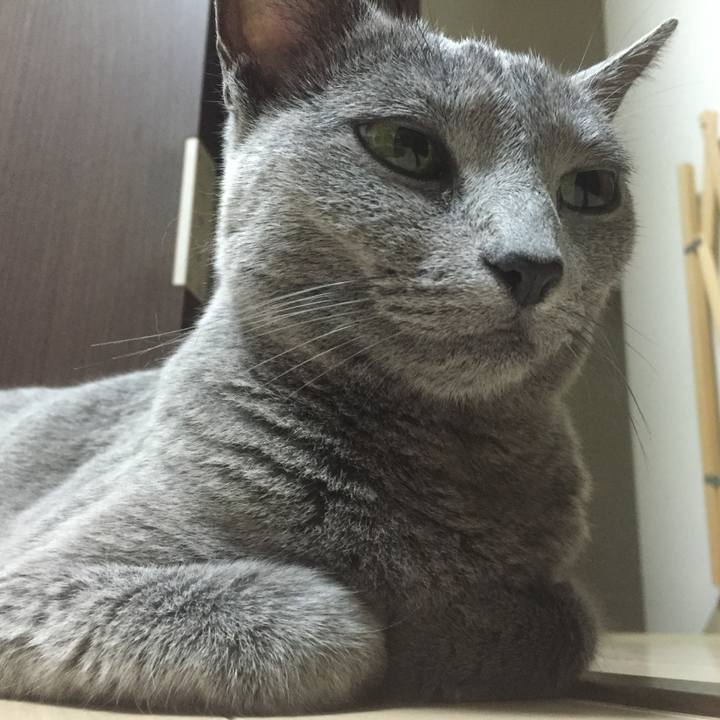 E7f36c84 e8b7 4eb5 bf3f 0f04a40e6e47