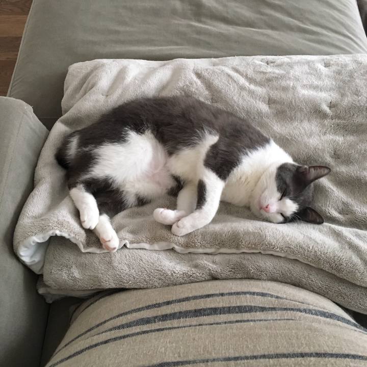 E7f37735 1106 49ca b303 fa8ad259323e