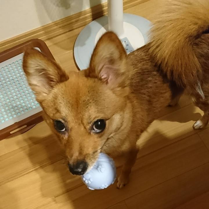 E7f3e694 f618 4d25 9d6e 52516e5375dc