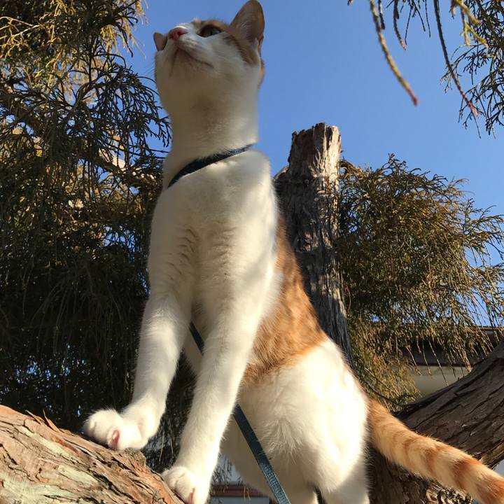 E7f4d814 96fe 40cc add8 3df49dc4d8bd