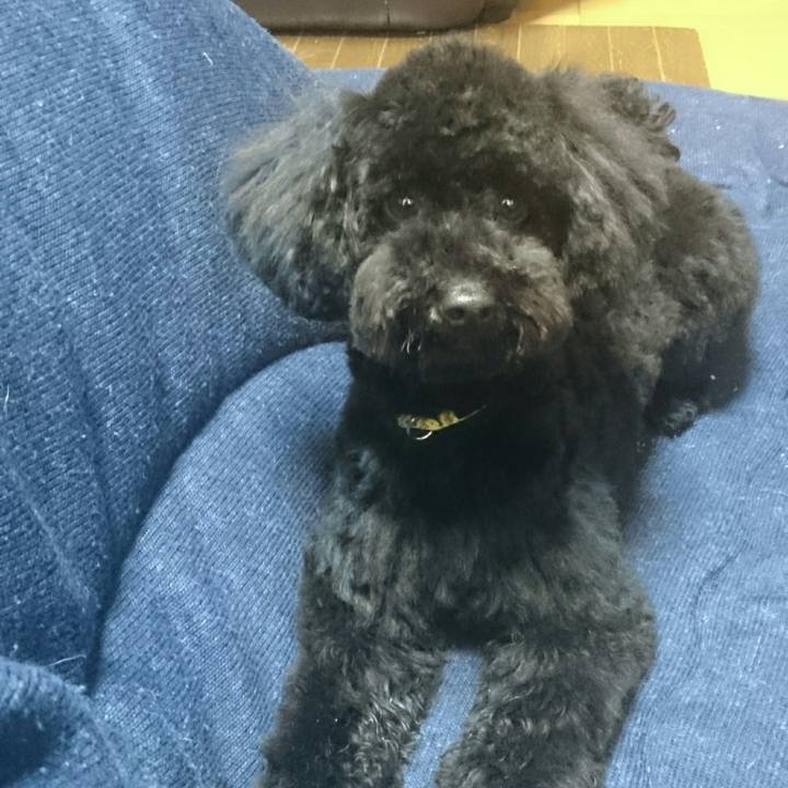 E7f4f151 7183 45cc 9182 e14db66c80d7