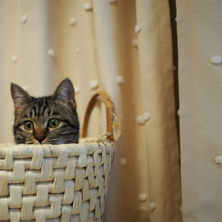 E7f525e4 0239 4077 930f 581806a8a19b