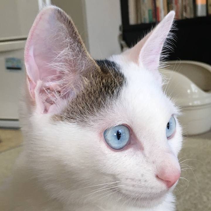 E7f598b3 86ed 4e64 a0c5 59563126dfb7