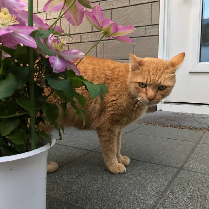 E7f5a9d1 045e 4d4f b447 9b60307e01de