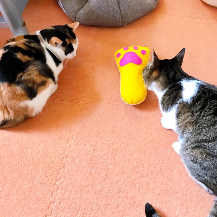 E7f5b290 1cdd 4d64 8a12 2ef7f5e341dc