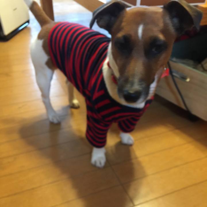 E7f5f428 2d24 4ef7 94e5 ad16985a901f