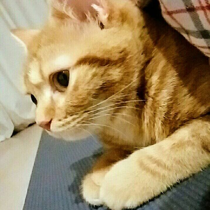 E7f62e5a 2102 433a 9478 bf8bde6c7179