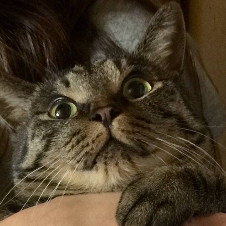 E7f6978f bb6c 4497 b6ad 1b2d7ab8e327