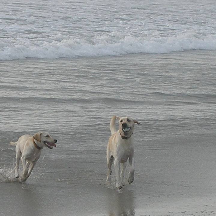 E7f6a903 2f83 4833 9f02 83257d1ebd04