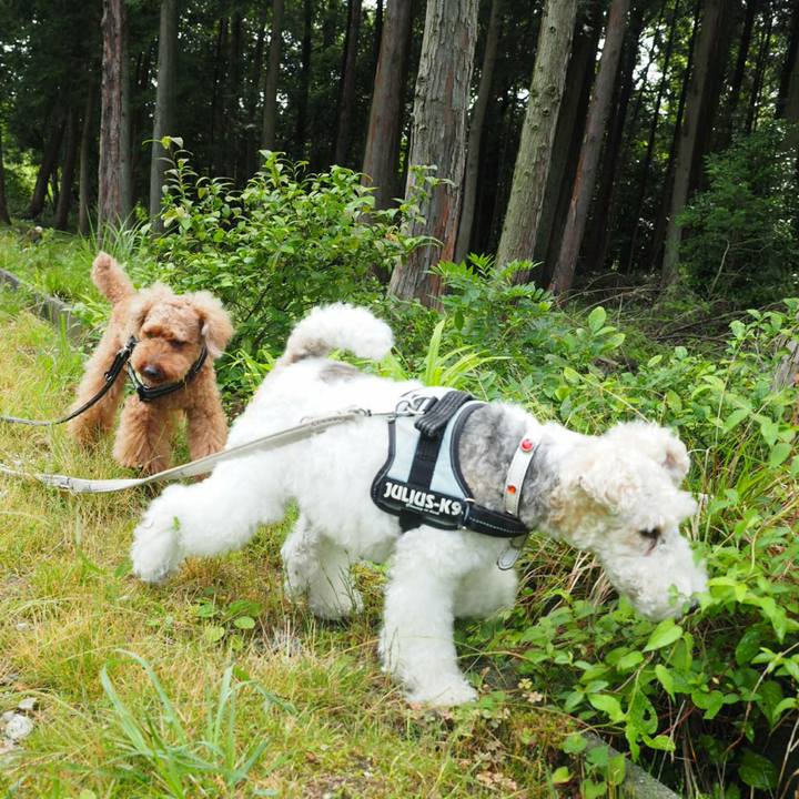 E7f6ceeb fdb9 4474 ba66 4f7bb3bd75d2