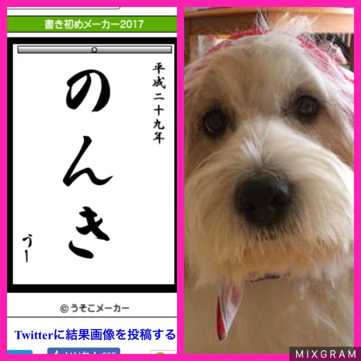 E7f72059 9563 41fe 9045 7ee01c6d1e30