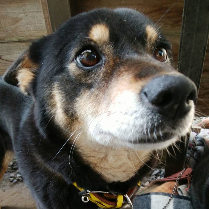 E7f734c4 7e20 4891 b042 5d45ec5d820d