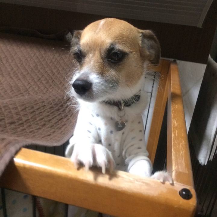 E7f7615f 3c4a 4f7a a9fa 64b5191c2c76