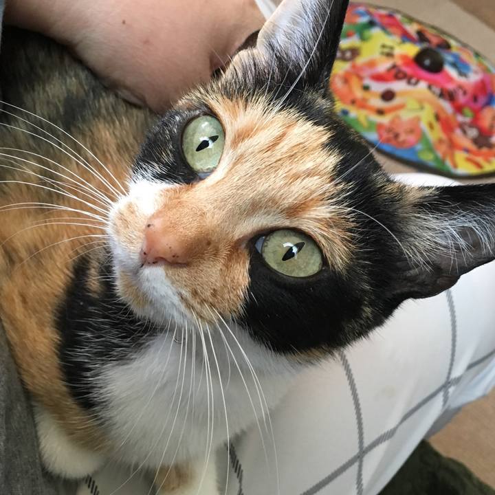 E7f76808 1f0e 486b 9442 536b656df121