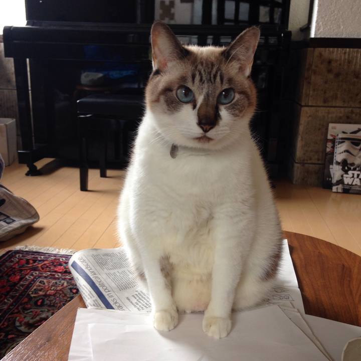 E7f79d66 8f96 4ab0 860e 0c99745dac8a